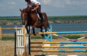 Конный спорт