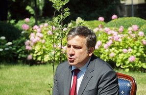 Саакашвили уволил Кучука