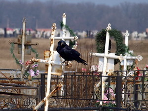 В Одессе не хватает кладбищ, поэтому на них царит коррупция
