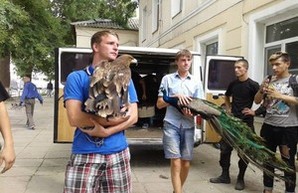 Одесских мучителей животных ждет суд