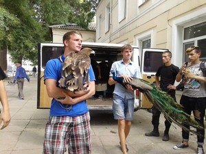 Одесских мучителей животных ждет суд