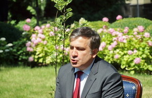 Партия президента пытается разыграть "джокера"-Саакашвили на выборах