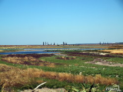Канал из Тилигульского лимана в море будут восстанавливать Одесская и Николаевская области вместе (ФОТО)
