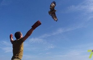 Одесский зоопарк выпускает на волю хищных птиц