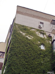 Урбанист предлагает благоустроить одесские дворы по немецкому образцу (ФОТО)