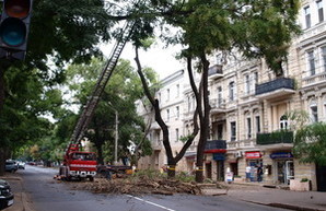 В центре Одессы перекрыта улица: пилят дерево (ФОТО)