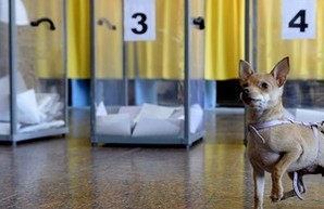 На местных выборах в Одессе может ожидаться рекордно большая явка избирателей