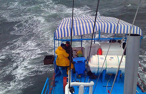 Кораблекрушение "Иволги" в Затоке: капитан затонувшего катера пытался сбежать (ФОТО, ВИДЕО)