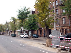 Рухнувшее в центре Одессы дерево перекрыло улицу и придавило автомобиль (ФОТО)