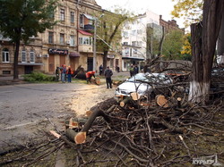 Рухнувшее в центре Одессы дерево перекрыло улицу и придавило автомобиль (ФОТО)