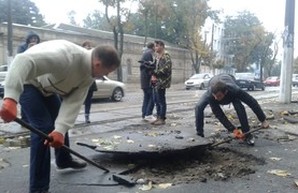 Одесситы готовят почву для озеленения Французского бульвара (ФОТО)