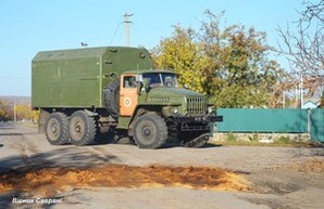 На севере Одесской области вводится карантин: свиньи болеют африканской чумой
