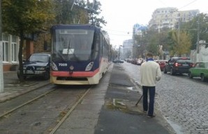 Одесская мэрия угрожает штрафами одесситам, которые сажают деревья на Французском бульваре
