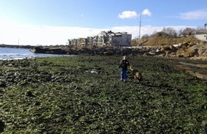 Ветер обнажил дно Черного моря у берегов Ильичевска