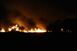 Заповедник в дельте Днестра снова загорелся (ФОТО)