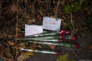 Париж после терактов: цветы, кровь, траур, журналисты и военные (ФОТО)