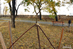 Уничтоженную вандалами аллею в память Небесной Сотни одесская мэрия обещает восстановить (ФОТО)