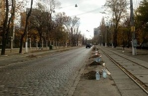 Одесситы высадили почти сто деревьев на Французском бульваре