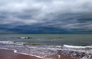 Суровое зимнее море у берегов Одессы (ФОТО)