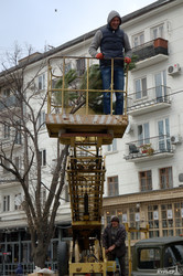 На главной улице Одессы установили елку (ФОТО)