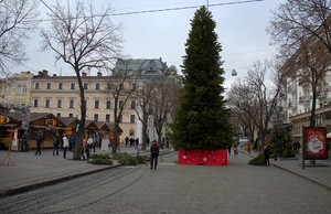 На главной улице Одессы установили елку (ФОТО)