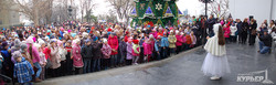 В Одессе зажглась огнями главная новогодняя елка (ФОТО)