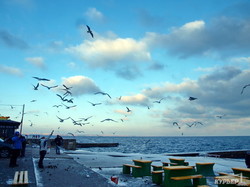 Море на побережье Одессы начинает замерзать (ФОТО)