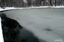 Одесский Дюковский парк замерзает (ФОТО)