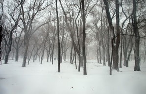 Снегопад обесточил 47 населенных пунктов Одесской области