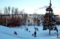Зимние забавы одесситов в парке Шевченко (ФОТО)