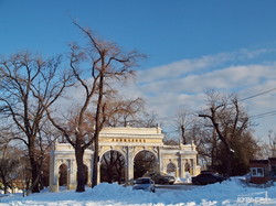 Зимний Ланжерон в Одессе: снег, лед, голодные котики и чайки (ФОТО)