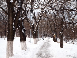 Одесскую Трассу Здоровья замело снегом (ФОТО)