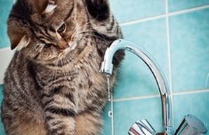 Одесситам повысили тариф на воду