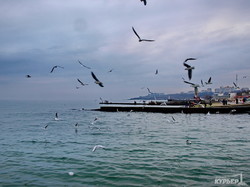 Безмятежное весеннее море, чайки и гуляющие одесситы (ФОТО)