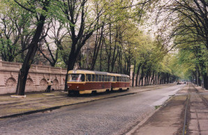 Одесский горсовет хочет, чтобы одесситы согласовывали посадку каждого дерева