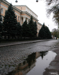 Непогода в Одессе: падают деревья и проседает земля (ФОТО)