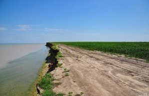 Для решения проблем в нацпарке "Тузловские лиманы" в Одессу приедет министр экологии