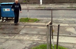 Вандалы уничтожают высаженные одесситами деревья на Французском бульваре (ФОТО)