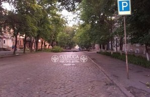 Рухнувшее в центре Одессы дерево перекрыло улицу