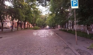 Рухнувшее в центре Одессы дерево перекрыло улицу