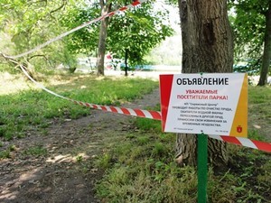 В главном одесском дендропарке чистят пруды (ФОТО)