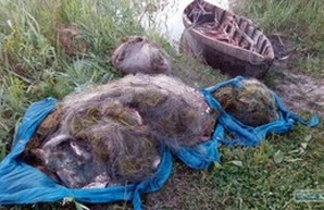 У браконьеров в Одесской области изъяли 2 километра сетей