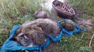 У браконьеров в Одесской области изъяли 2 километра сетей