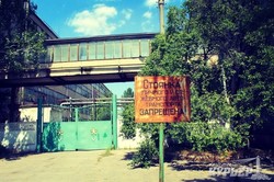 Одесская мэрия хочет расчистить канал вдоль маршрута "камышового" трамвая (ФОТО)