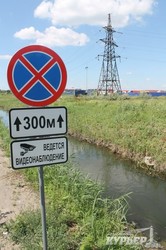 Одесская мэрия хочет расчистить канал вдоль маршрута "камышового" трамвая (ФОТО)