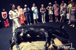 Экспонатами одесского музея стала корова, чайки, звезды и маяки (ФОТО)