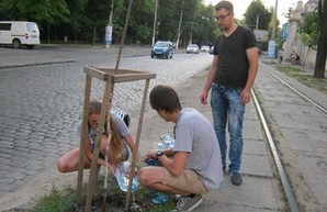 Одесситы спасают деревья на Французском бульваре от жары (ФОТО)