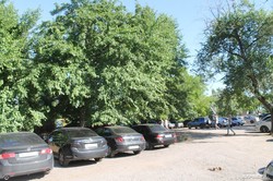 Саакашвили вляпался в очередной скандал, попытавшись снести парковку (ФОТО, ВИДЕО)