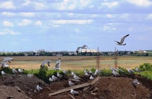 Вице-мэр Одессы побывал на свалке (ФОТО)