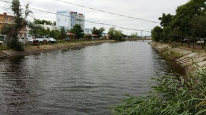 В Овидиопольском районе коммерсанты уничтожили водоем, чтобы застроить его территорию (ФОТО)